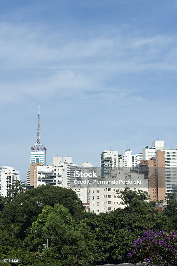 São Paulo - 로열티 프리 0명 스톡 사진