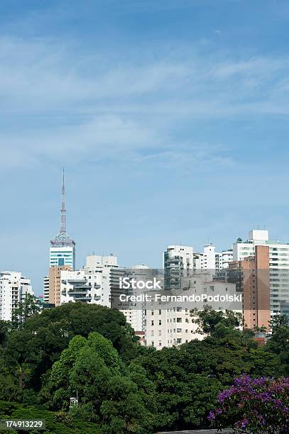 São Paulo 0명에 대한 스톡 사진 및 기타 이미지 - 0명, 건물 외관, 공원
