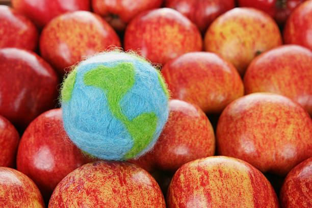 importado de fruta - healthy eating freight transportation globe planet imagens e fotografias de stock