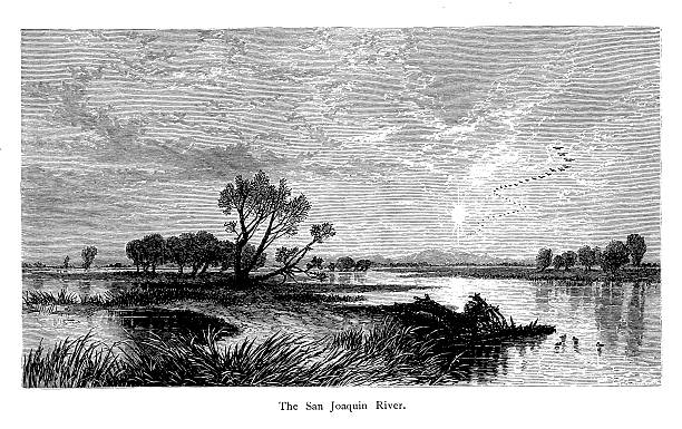 ilustrações, clipart, desenhos animados e ícones de o san joaquin river, califórnia - san joaquin valley