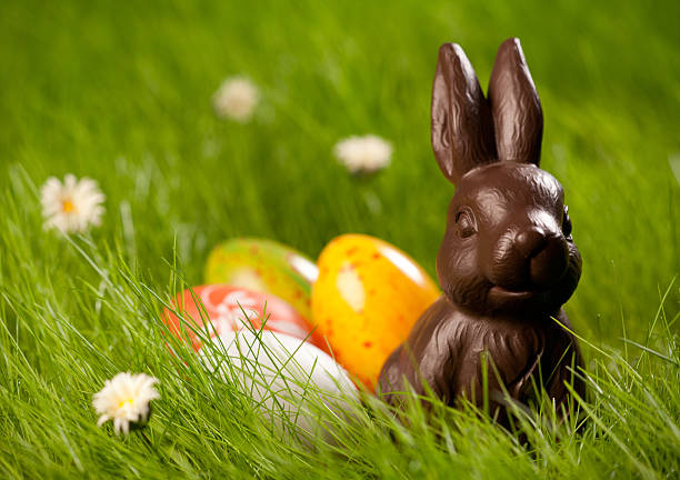 Easter Close up of colorful Easter eggs and chocolate bunny in fresh spring grass. chocolate bunny stock pictures, royalty-free photos & images