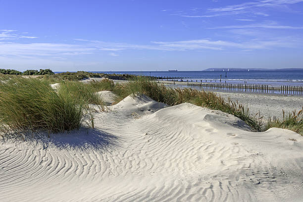 dunes de sable - witterung photos et images de collection