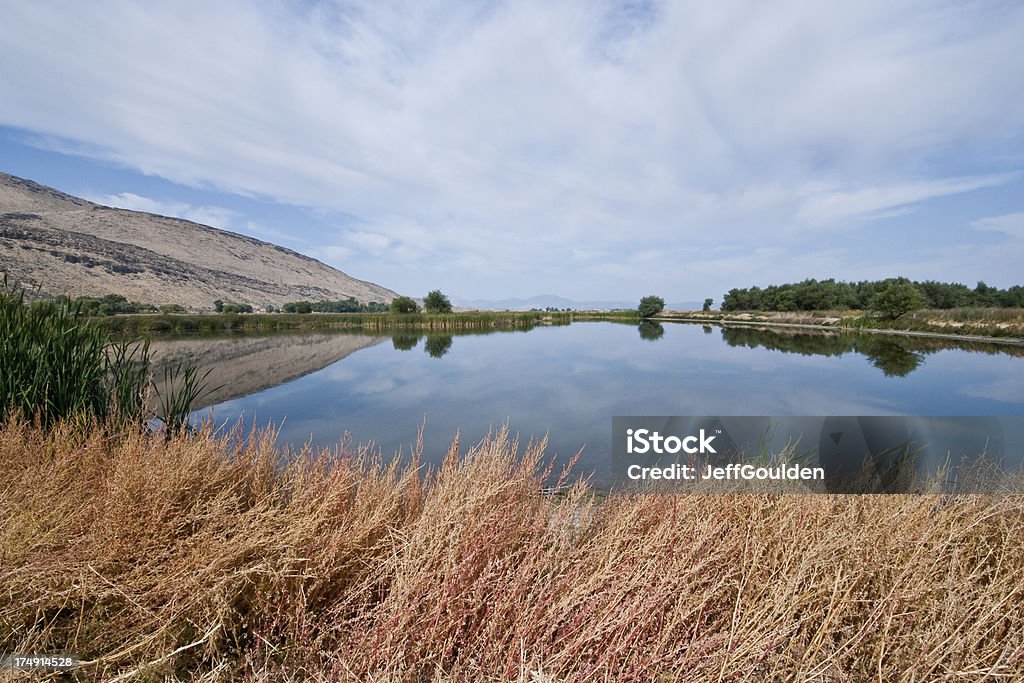 Colori autunnali attorno al Lago Tule - Foto stock royalty-free di Acqua