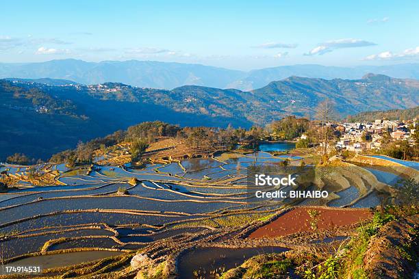 Yuanyang Terrassenfeldern Stockfoto und mehr Bilder von Abenddämmerung - Abenddämmerung, Agrarbetrieb, Asiatischer Volksstamm