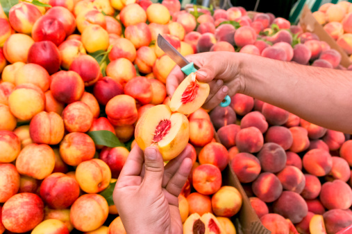Market vendor shows how fresh the nectarines are.