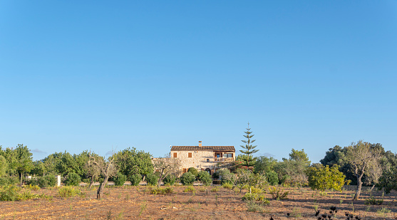 Felanitx, Spain; october 09 2023: Luxurious rural mansion in the interior of the island of Mallorca at sunset on a sunny day. Spain