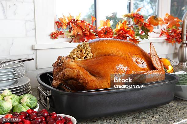Turchia In Roaster - Fotografie stock e altre immagini di Tacchino - Tacchino, Ringraziamento, Pianale da cucina