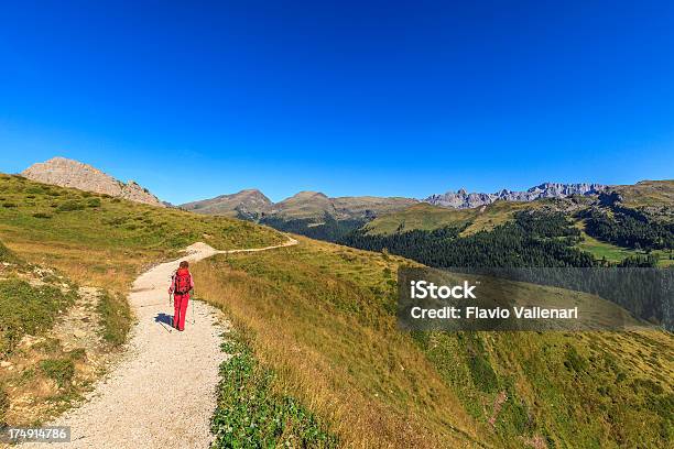 Trekking Na Myśli Chrystus Trentinoalto Adige Włochy - zdjęcia stockowe i więcej obrazów Alpy