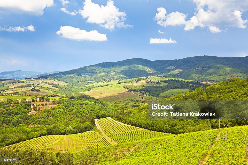 Paesaggio del Chianti - Foto stock royalty-free di Agricoltura