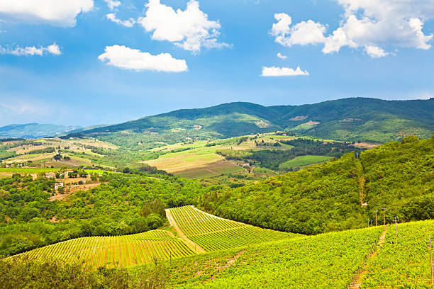 istock Landscape of Chianti 174914790