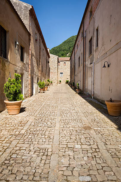 istock Beautiful Alley in Italy 174914828