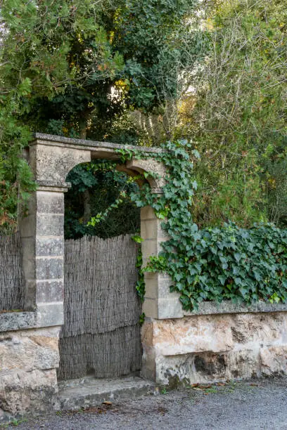 Photo of Old stone and ivy entrance arch of an old house