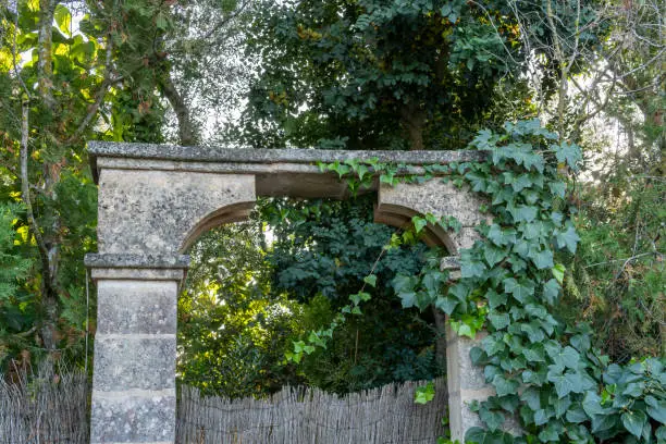 Photo of Old stone and ivy entrance arch of an old house