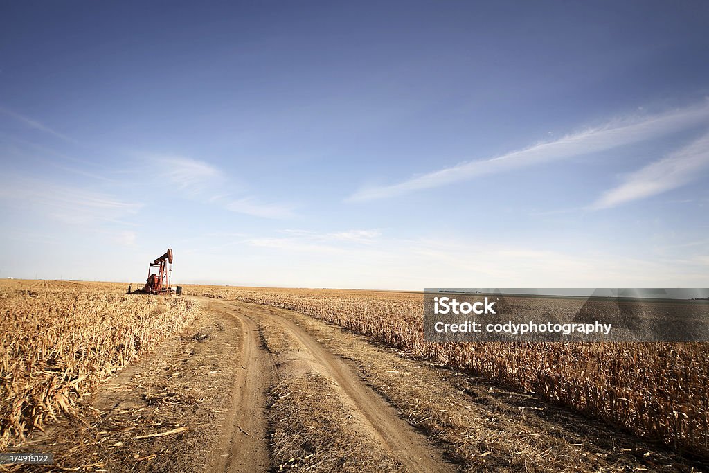 Pump Jack in Field Pump Jack in a field in Kansas. Oil Industry Stock Photo