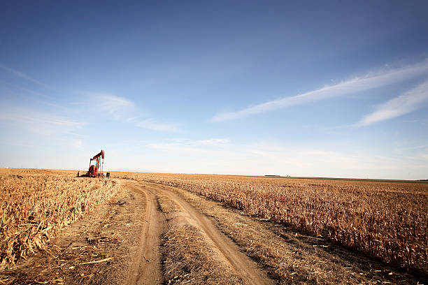 jack de bomba no campo - oil pump oil industry alberta equipment imagens e fotografias de stock