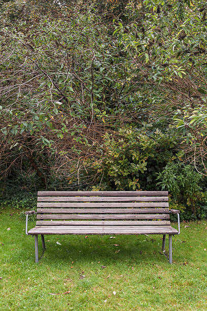 istock Park bench in Copenhagen 174915408