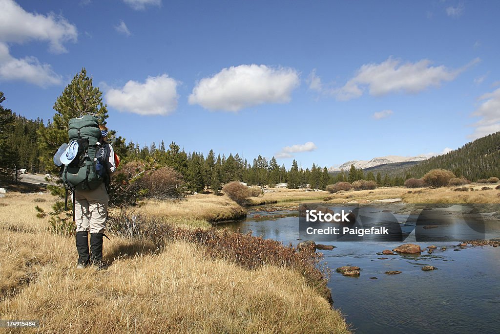 Canyon escursionista Lyell - Foto stock royalty-free di Acqua