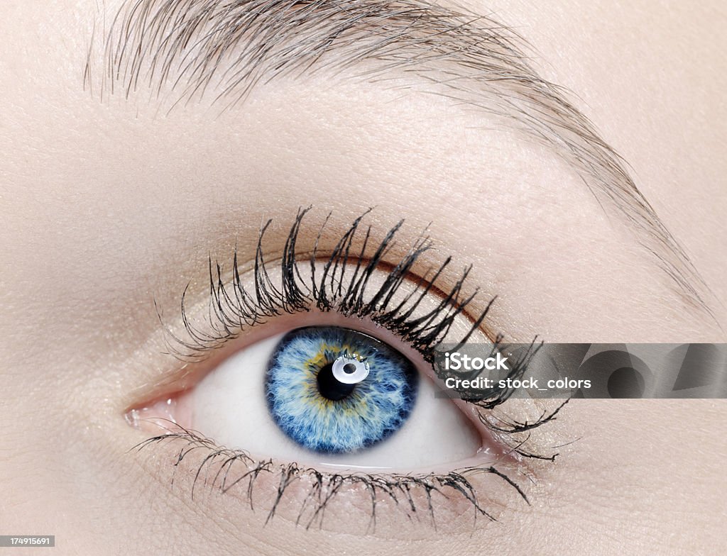 eye Blick nach oben - Lizenzfrei Augapfel Stock-Foto