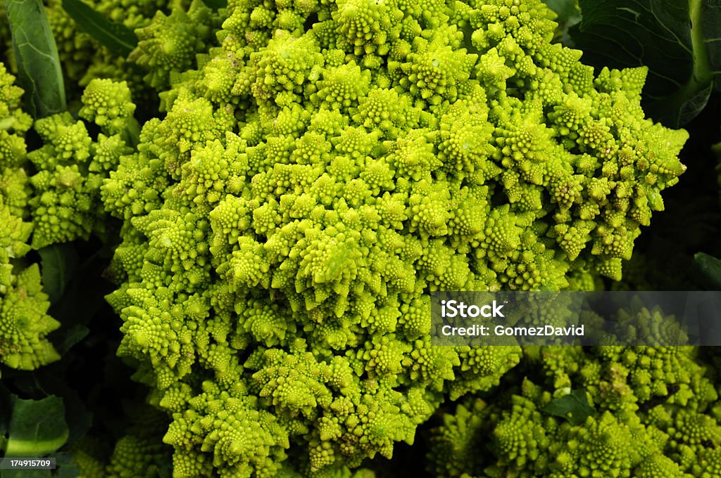 Close-up de colheita orgânico Romanesco Brócolo - Royalty-free Agricultura Foto de stock