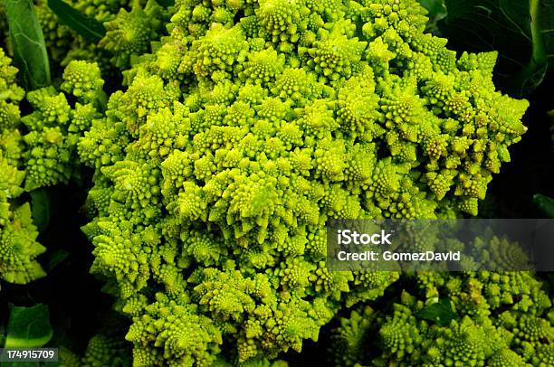 Closeup De Colheita Orgânico Romanesco Brócolo - Fotografias de stock e mais imagens de Agricultura - Agricultura, Amarelo, Ao Ar Livre