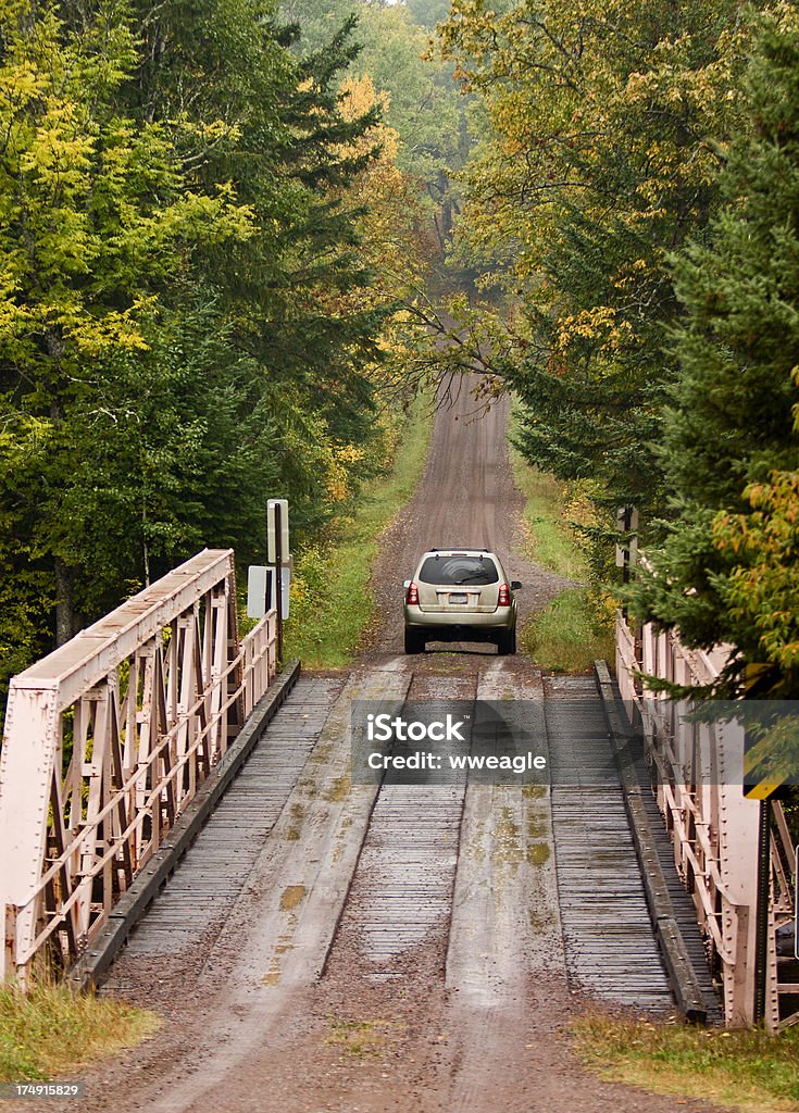 Drive en el bosque de otoño - Foto de stock de Caer libre de derechos