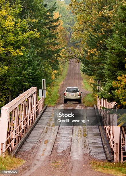 Drive En El Bosque De Otoño Foto de stock y más banco de imágenes de Caer - Caer, Coche, Conducir