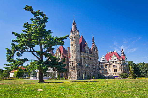 istock Palace in Neo-Gothic style 174915938