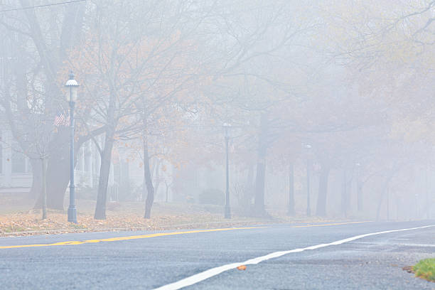 małomiasteczkowa europejską autostrada in the fog - street light fog morning country road zdjęcia i obrazy z banku zdjęć