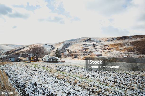 Photo libre de droit de Farm House Cottage Hiver Douillet banque d'images et plus d'images libres de droit de Arbre - Arbre, Automne, Blanc