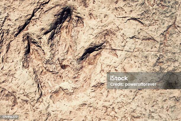 Fossilized Huellas De Dinosaurios Foto de stock y más banco de imágenes de Aire libre - Aire libre, Animal extinto, Antiguo
