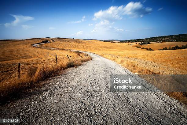 Ländliche Straße Trog Die Golden Felder In Der Toskana Italien Stockfoto und mehr Bilder von Abgeschiedenheit