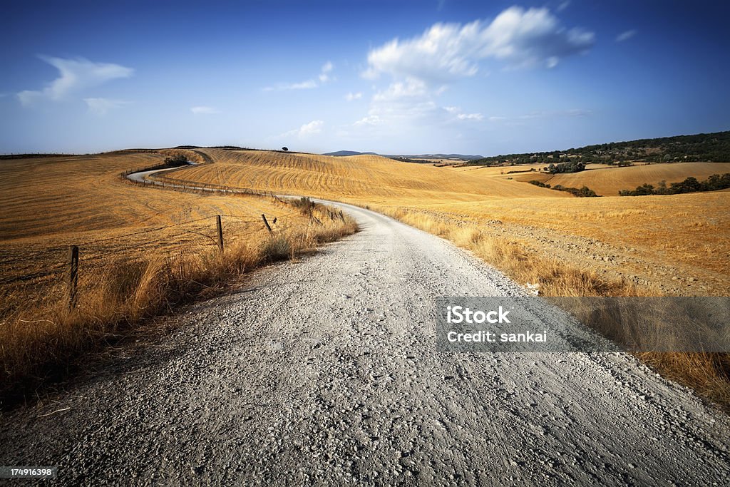 Strada di campagna attraverso il golden campi della Toscana, Italia - Foto stock royalty-free di Accessibilità