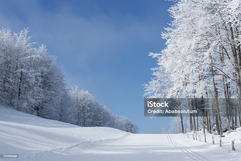 Marca de esqui e bBautiful Frosty Floresta de Inverno na Eslovénia - Royalty-free Ao Ar Livre Foto de stock