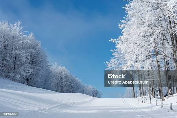 Marca De Esqui E Bbautiful Frosty Floresta De Inverno Na Eslovénia - Fotografias de stock e mais imagens de Ao Ar Livre