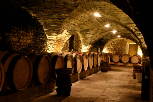 cave à vin - aging process french culture winemaking next to photos et images de collection