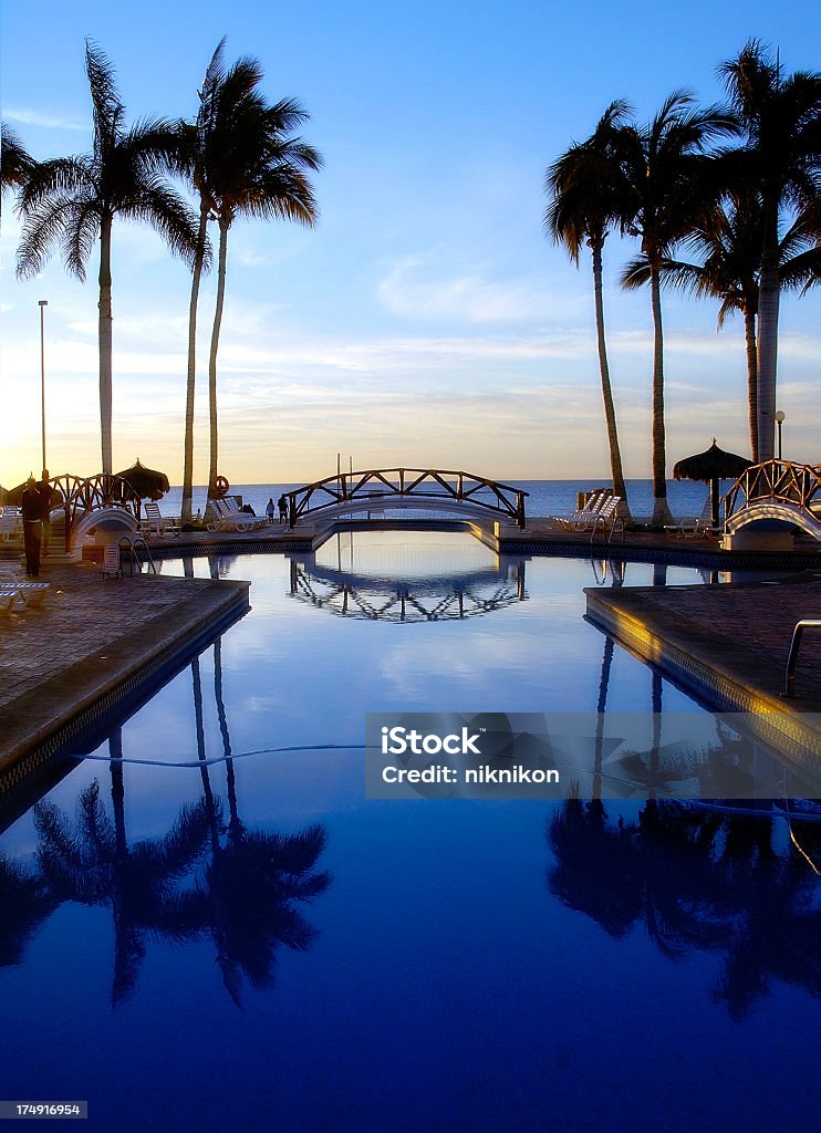 Piscina e palmeiras, oliveiras em Sunrise - Royalty-free Conceito Foto de stock