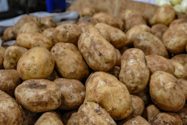 istock raw potato in market 1749169796