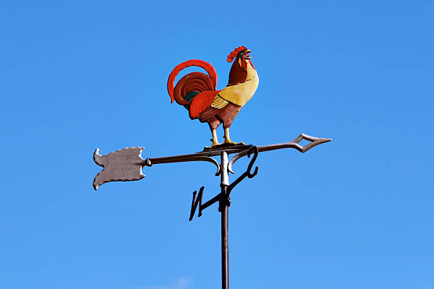 rooster and the winds #2 stock photo