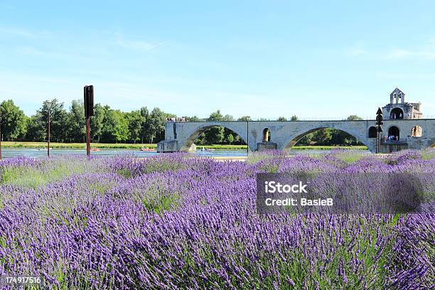 Pont Saintbénezet W Avignon Francja - zdjęcia stockowe i więcej obrazów Architektura - Architektura, Awinion, Bez ludzi