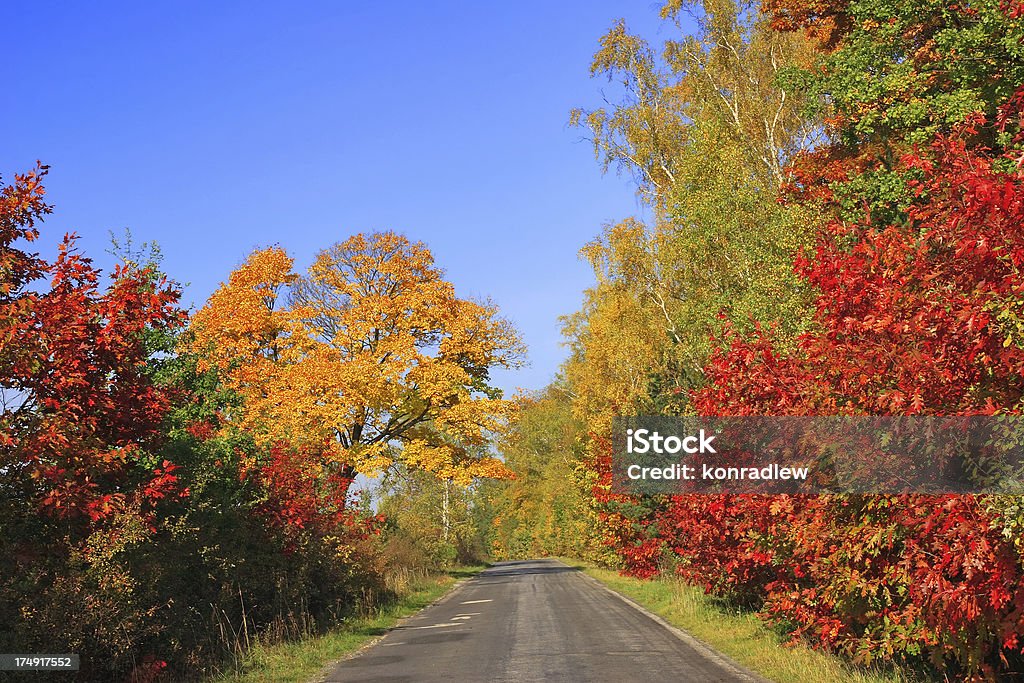 Paisaje de otoño-road - Foto de stock de Aire libre libre de derechos