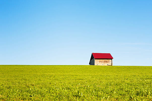 istock little house in grass field 174917612