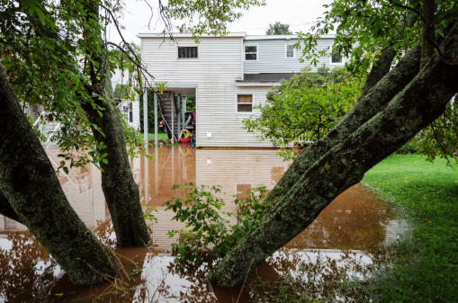 Heavy rainfall has flooded a family out of their rural home in Nova Scotia.