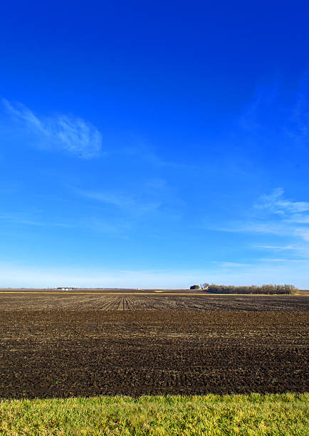 istock Farmland in Central Illinois 174918119