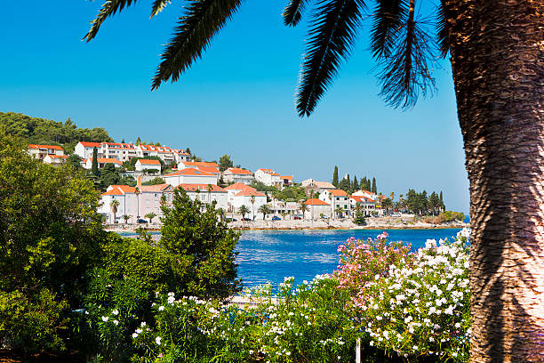 View over Korcula View over Korcula marco island stock pictures, royalty-free photos & images