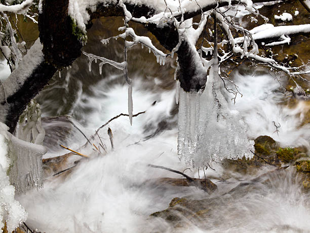 detalhes de plitvice - plitvice lakes national park croatia winter sparse - fotografias e filmes do acervo