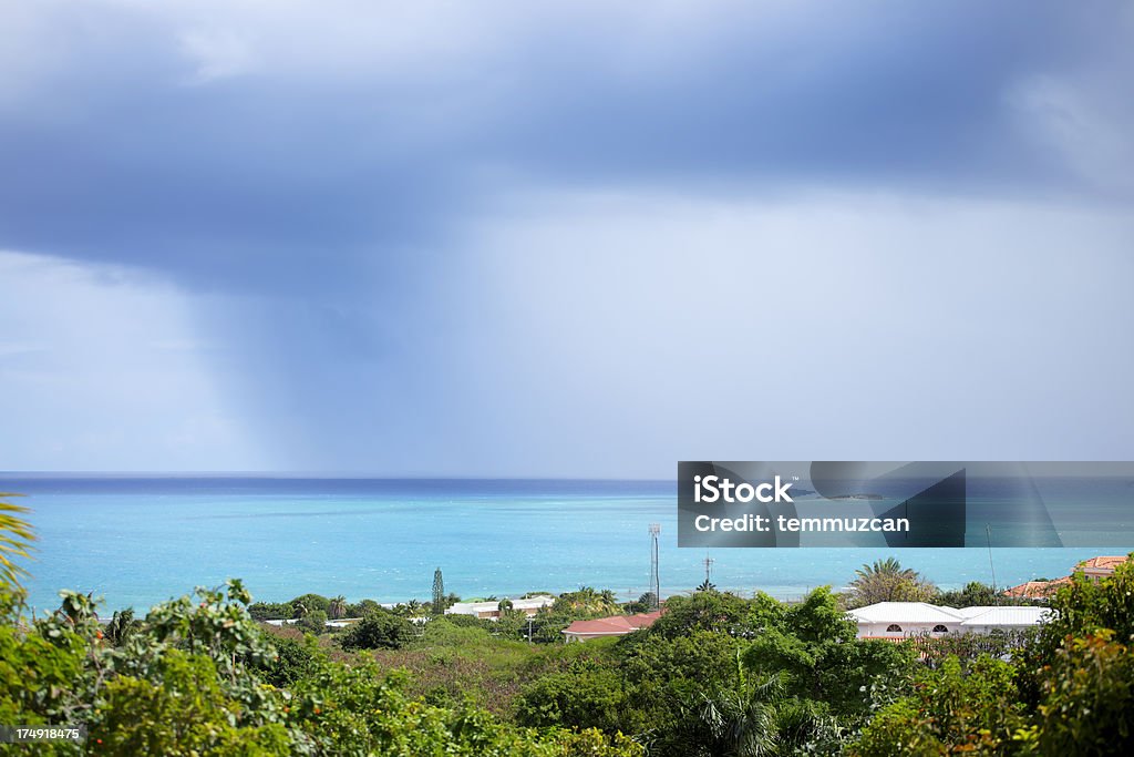 Sky series Rain is coming! Caribbean rain in Antigua. Palm Tree Stock Photo