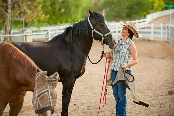 istock Woman With Horses on a Ranch 174918614