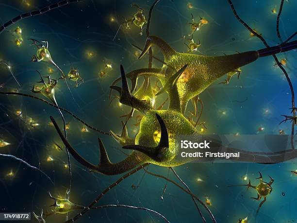 활동적임 뉴런 세포 Synapse 네트워크 3차원 형태에 대한 스톡 사진 및 기타 이미지 - 3차원 형태, RNA, 가지돌기