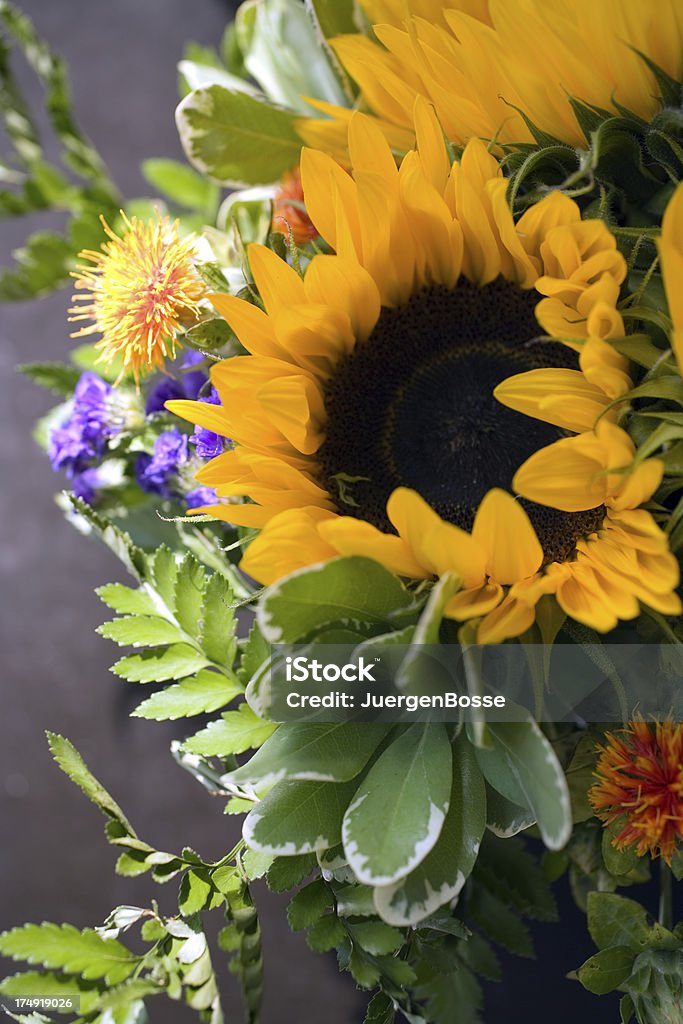 Sonnenblumen Bouquet - Lizenzfrei Blume Stock-Foto