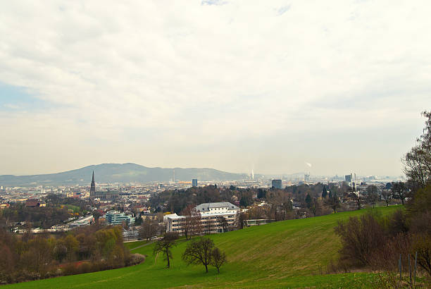 istock Skyline of Linz 174919145